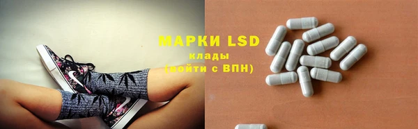 стаф Гусь-Хрустальный