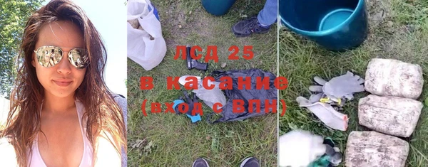 стаф Гусь-Хрустальный