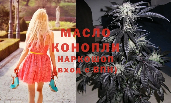 стаф Гусев
