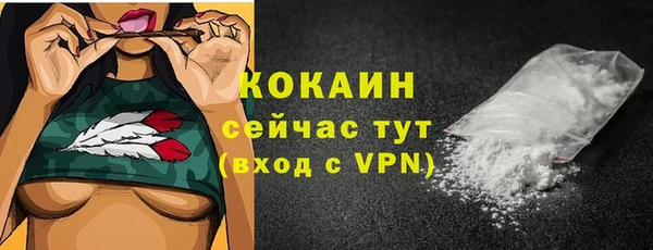 стаф Гусь-Хрустальный