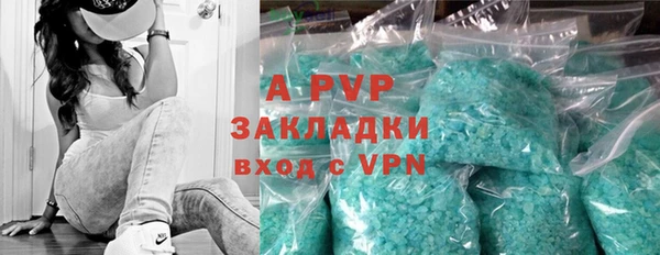 стаф Гусь-Хрустальный