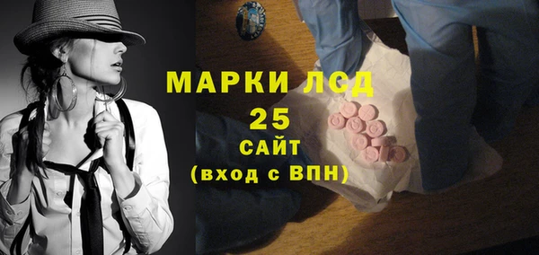стаф Гусев